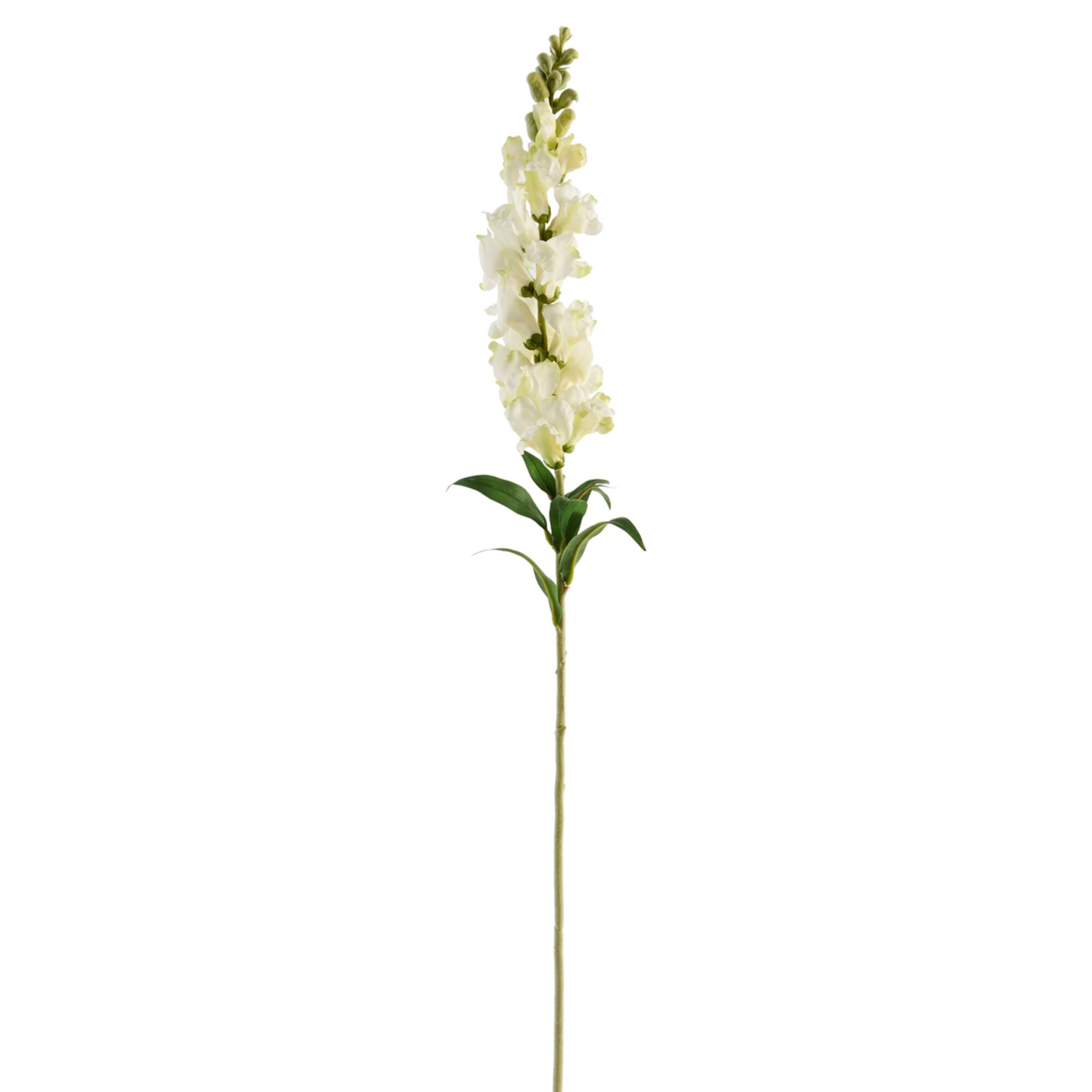 Cream Snapdragon Spray by Ashland®